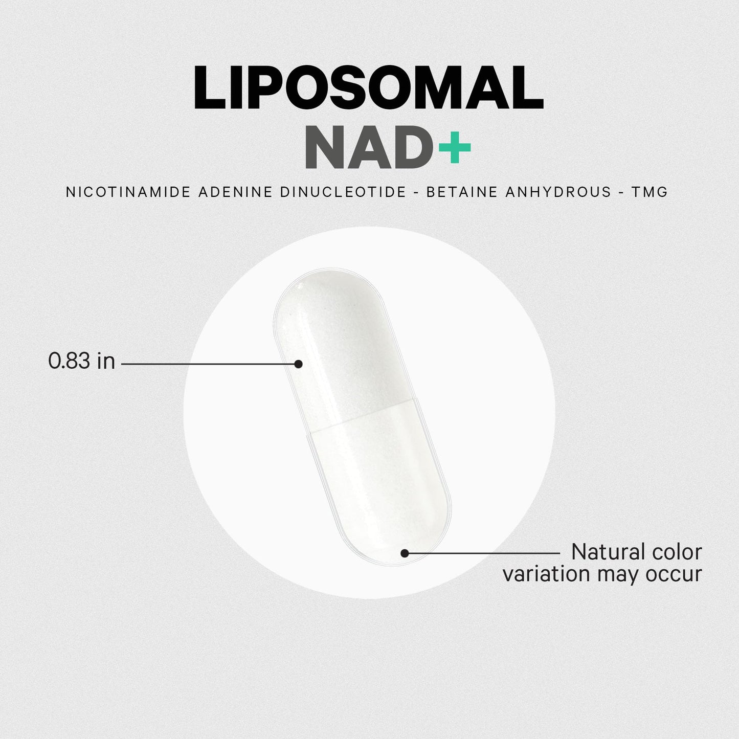 Codeage Liposomal NAD+ Supplement - 500 mg per Serving | Vegan, Non-GMO | 60 Capsules