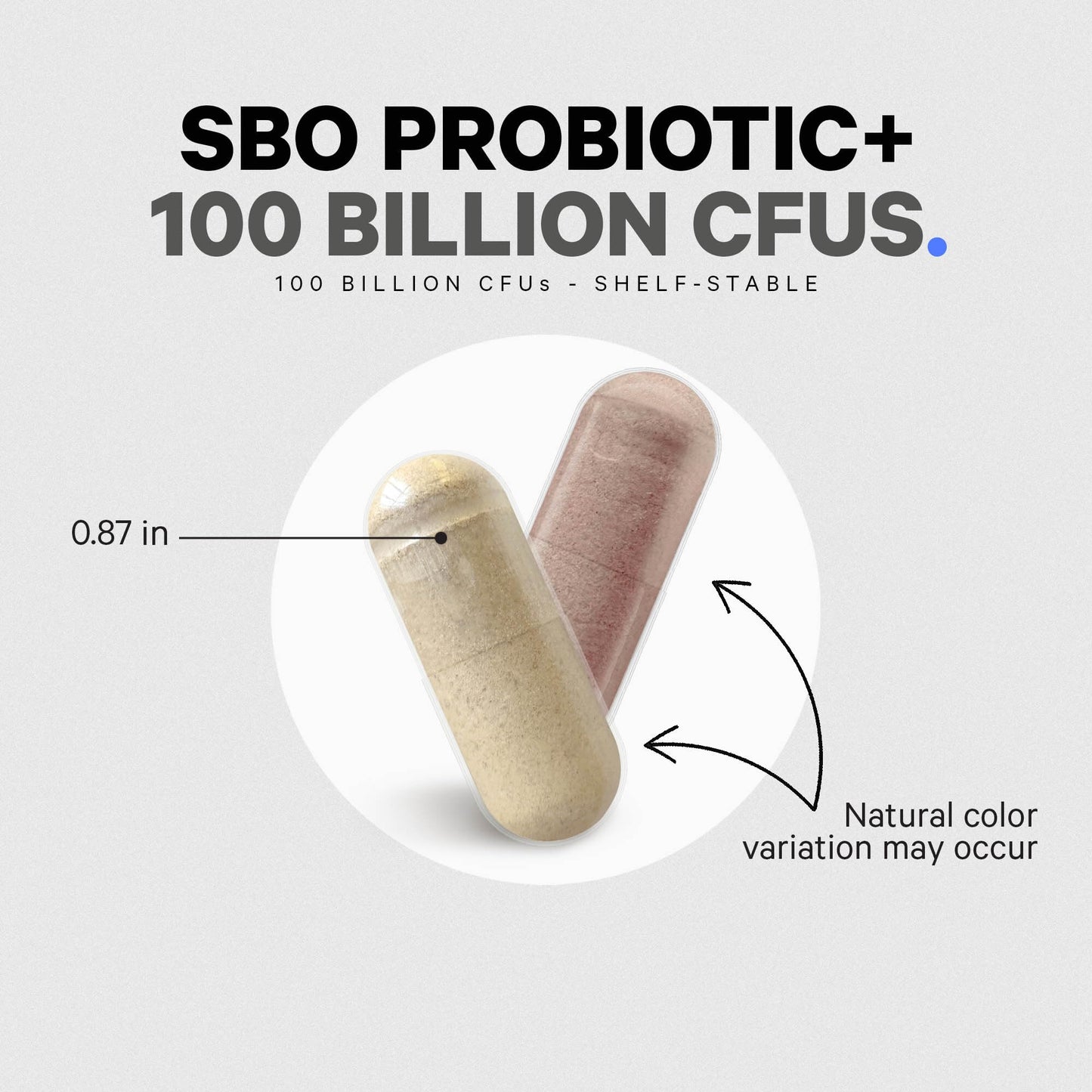 Codeage SBO Probiotics: 100 Billion CFUs, 6 Strains, Organic Fermented Botanicals, Shelf-Stable, 90 Capsules