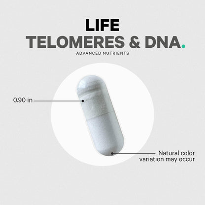 Codeage Ultra Life Telomeres Supplement – 5-MTHF Folate, B12 Methylcobalamin, D3, L-Theanine, Ashwagandha • 3-Month Supply