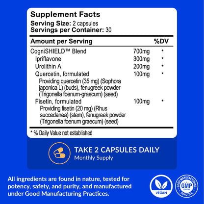 CogniSHIELD Brain Health Supplement – 60 Count | Synergistic Support for Focus & Clarity