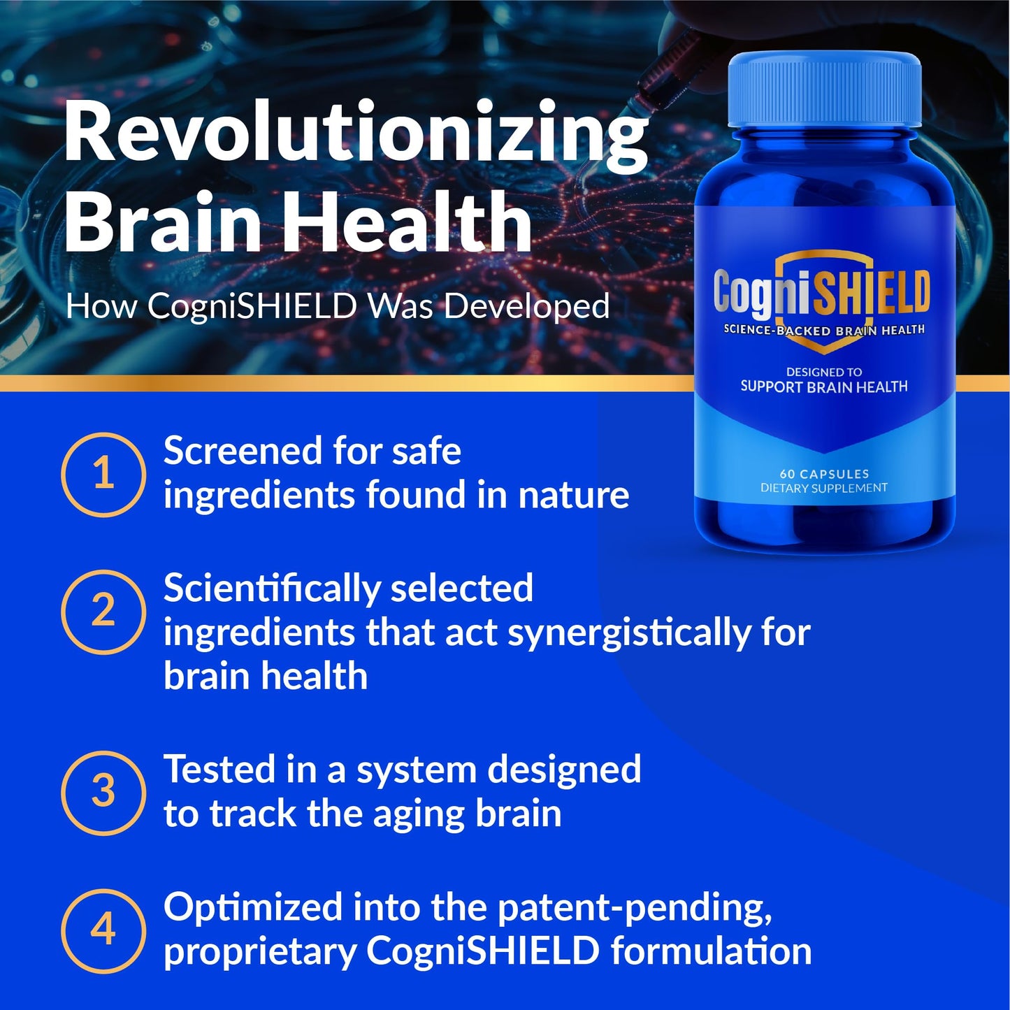 CogniSHIELD Brain Health Supplement – 60 Count | Synergistic Support for Focus & Clarity