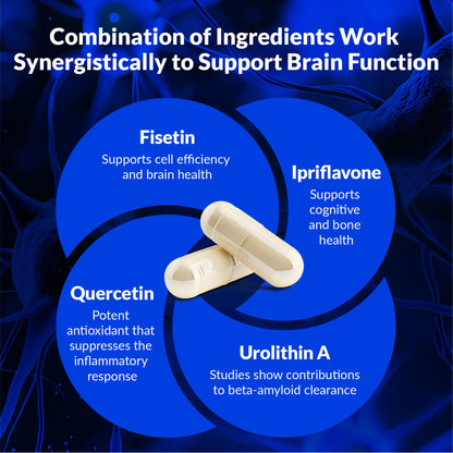 CogniSHIELD Brain Health Supplement – 60 Count | Synergistic Support for Focus & Clarity