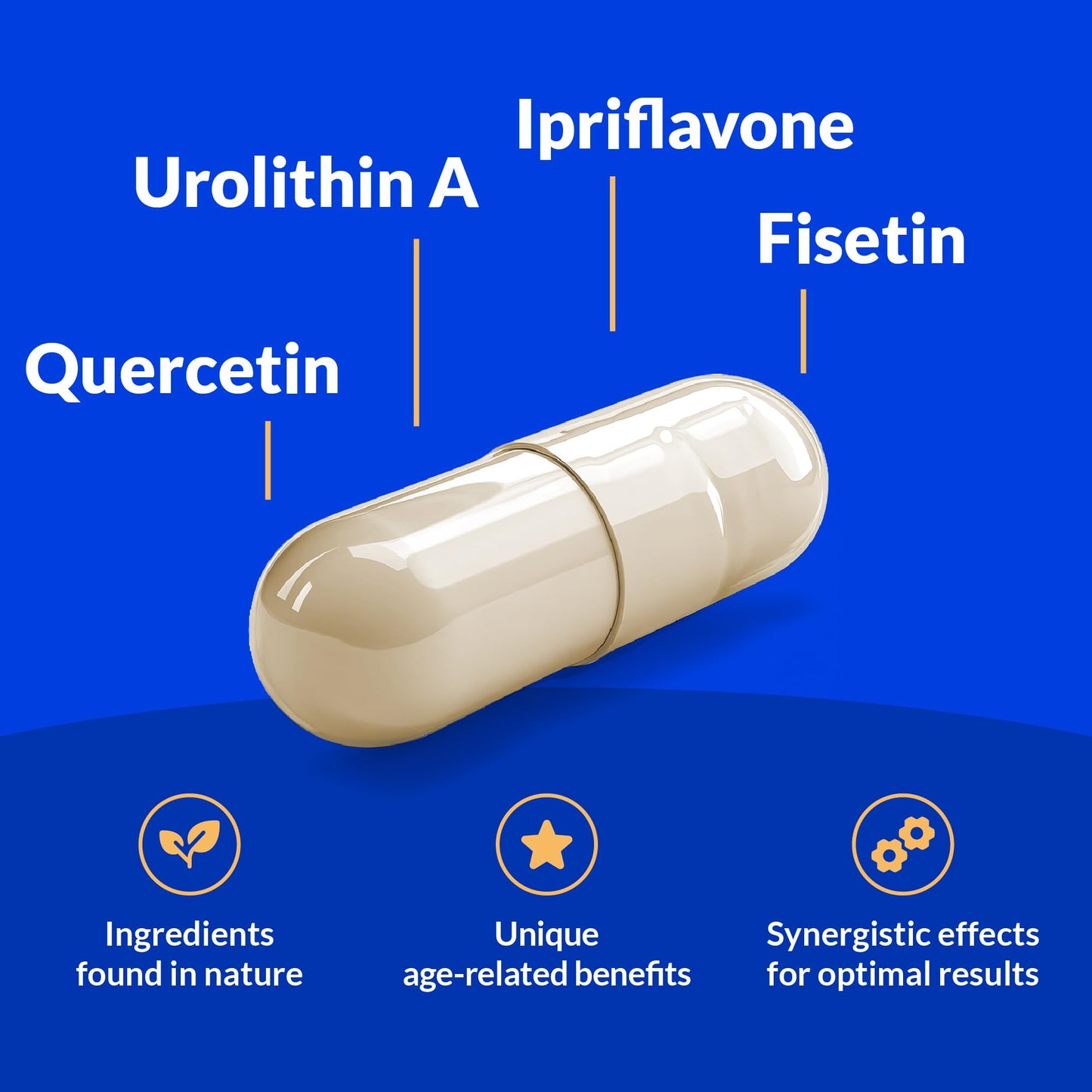 CogniSHIELD Brain Health Supplement – 60 Count | Synergistic Support for Focus & Clarity