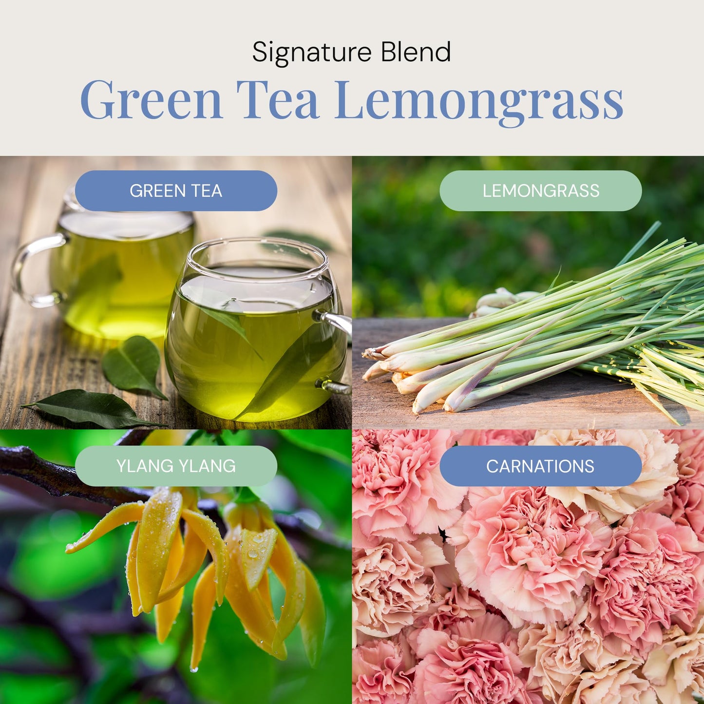 Green Tea & Lemongrass Aroma Oil | Essential Oils Blend for Diffusers | 100 mL