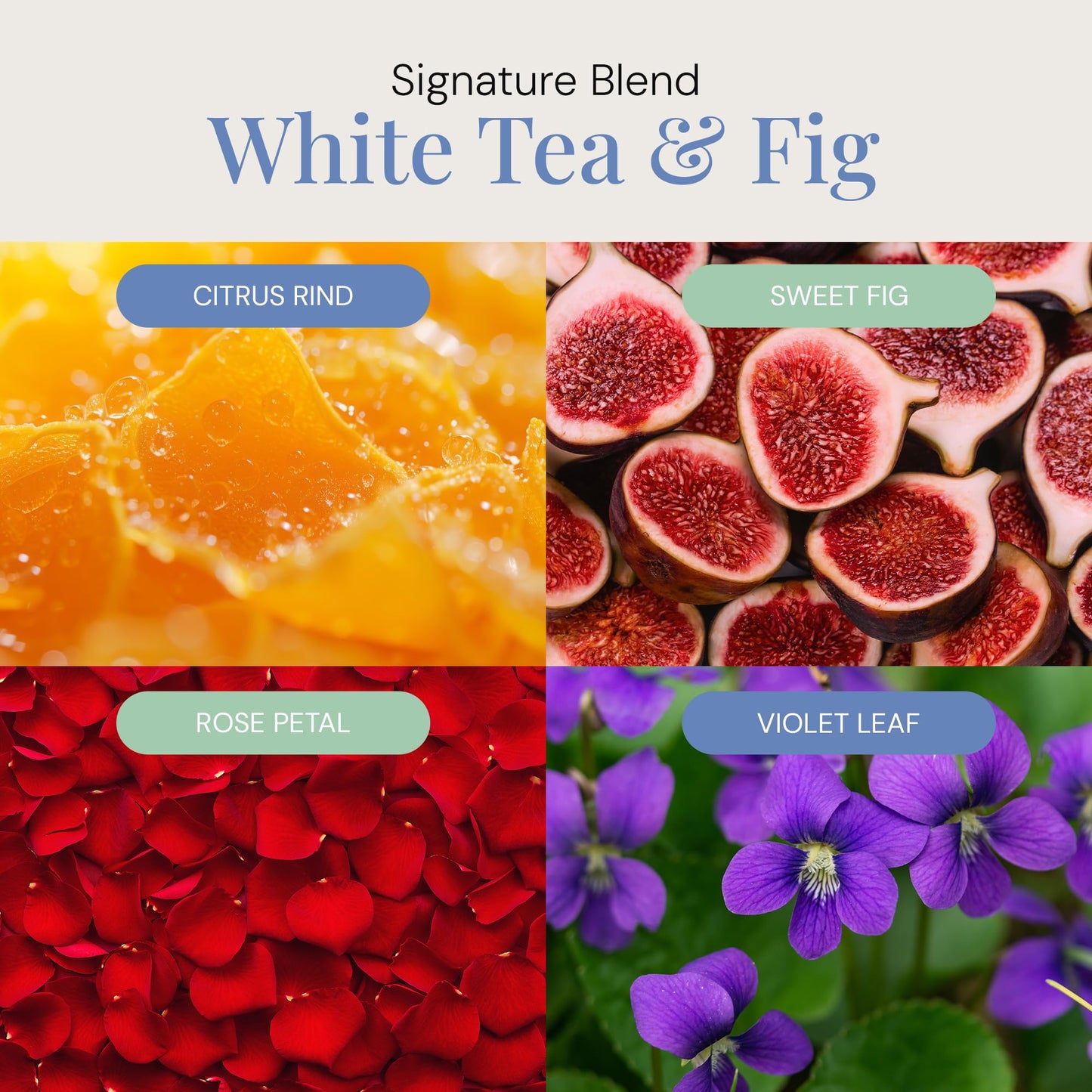 White Tea & Fig Aroma Oil – 300 mL | Essential Oils Blend for Diffusers & Scent Machines