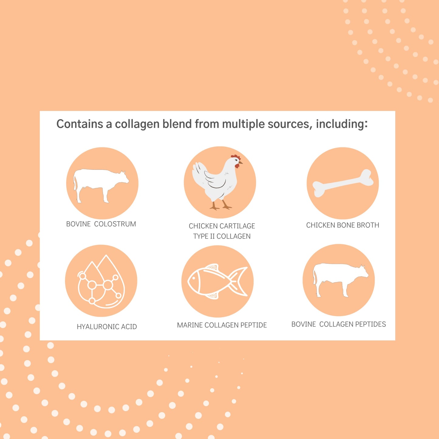 Colla-Holla with Colostrum Vanilla - Multi-Sourced Collagen Powder 8.36 oz
