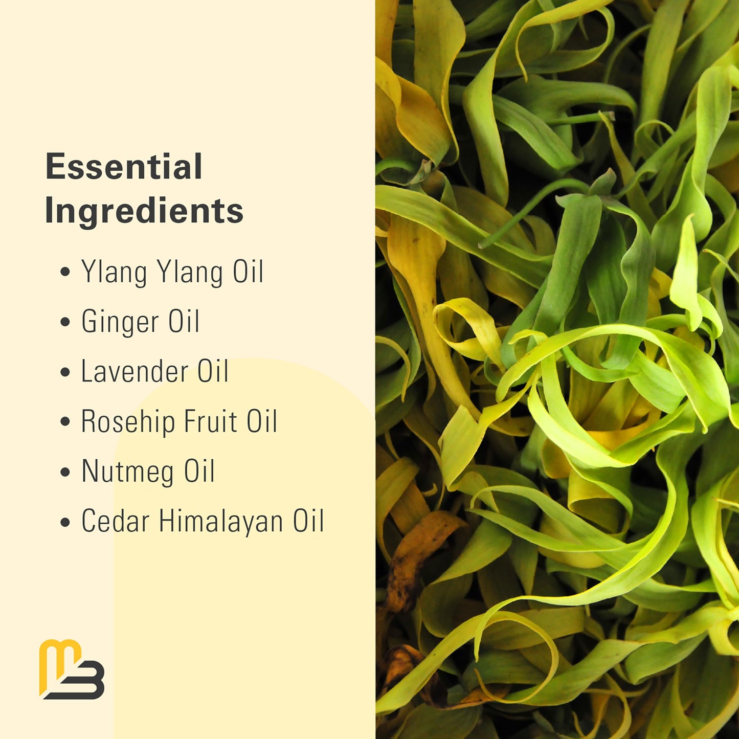 Ylang Ylang + Ginger Lymphatic Drainage Massage Oil – Collagen & Stem Cells | 8oz | M3 Naturals