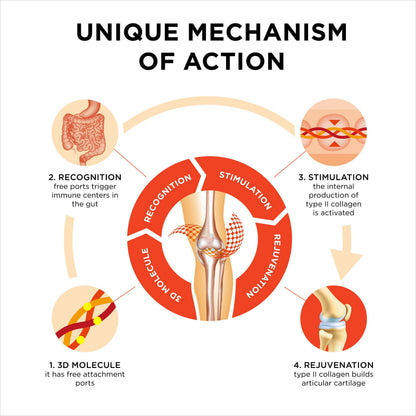Collanol – Dual-Action Joint Support with 3D Collagen + Micelle Turmeric