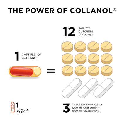 Collanol – Dual-Action Joint Support with 3D Collagen + Micelle Turmeric
