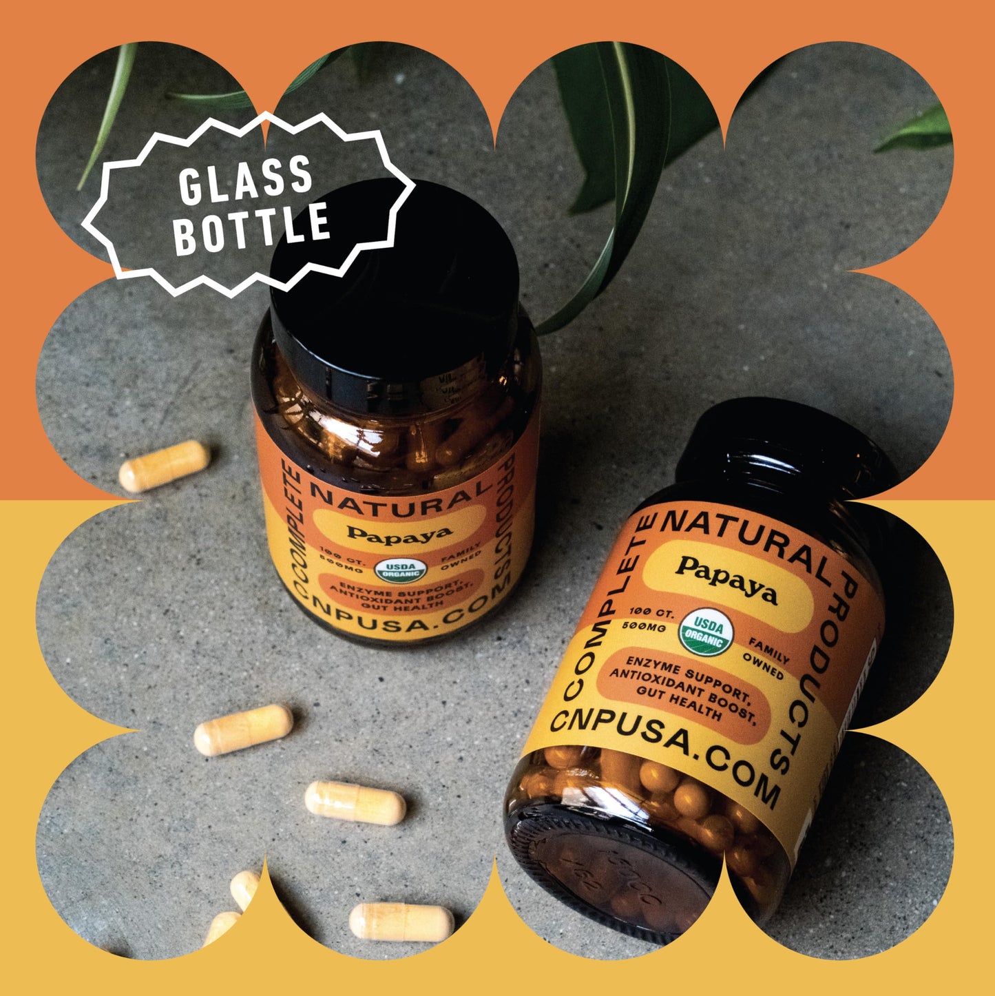Complete Natural Organic Papaya Enzymes & Papain Capsules – 500mg, 100 Pills