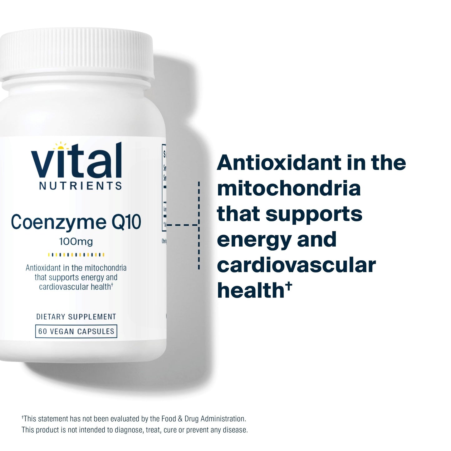Vital Nutrients CoQ10 100mg – Vegan CoQ10 Supplement | Heart Health & Energy