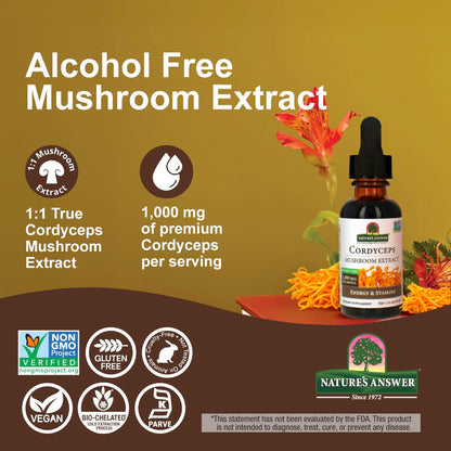 Cordyceps Mushroom Extract – Alcohol Free, 1 fl oz (30 ml) | 1,000 mg per Serving