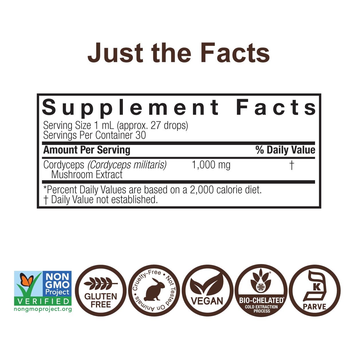 Cordyceps Mushroom Extract – Alcohol Free, 1 fl oz (30 ml) | 1,000 mg per Serving