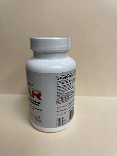 Core Nutritionals SEAR Thermogenic Fat Burner | Non-Stim Recomposition Agent | Paradoxine & Grains of Paradise | 84 Vegetable Capsules