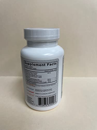 Core Nutritionals SEAR Thermogenic Fat Burner | Non-Stim Recomposition Agent | Paradoxine & Grains of Paradise | 84 Vegetable Capsules