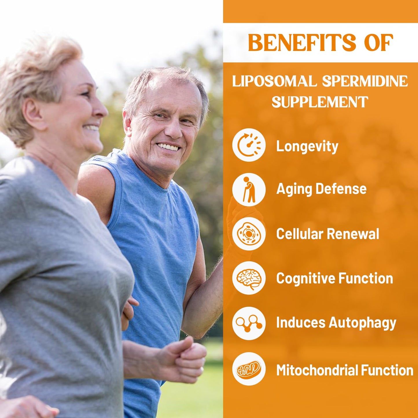 CORPORALIGHT 30mg Spermidine Supplement – High Absorption Liposome Delivery, Fermented Wheat Germ Extract, 180 Softgels