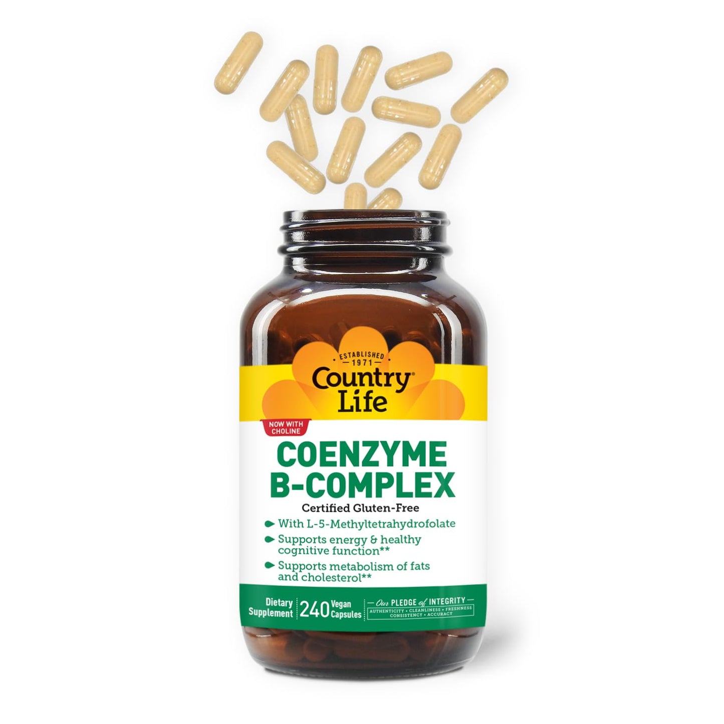 Country Life Coenzyme B-Complex Vitamin | Daily Energy & Metabolism Support | 240 ct