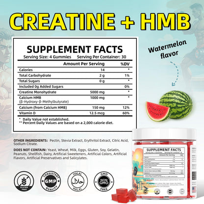 HEALOADING Creatine Monohydrate Gummies with HMB for Men – Strength, Recovery & Muscle Support