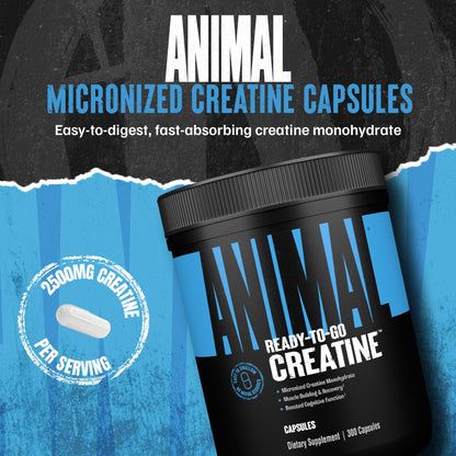 Animal Micronized Creatine Monohydrate Capsules – 300 Caps, 2.5g Per Serving