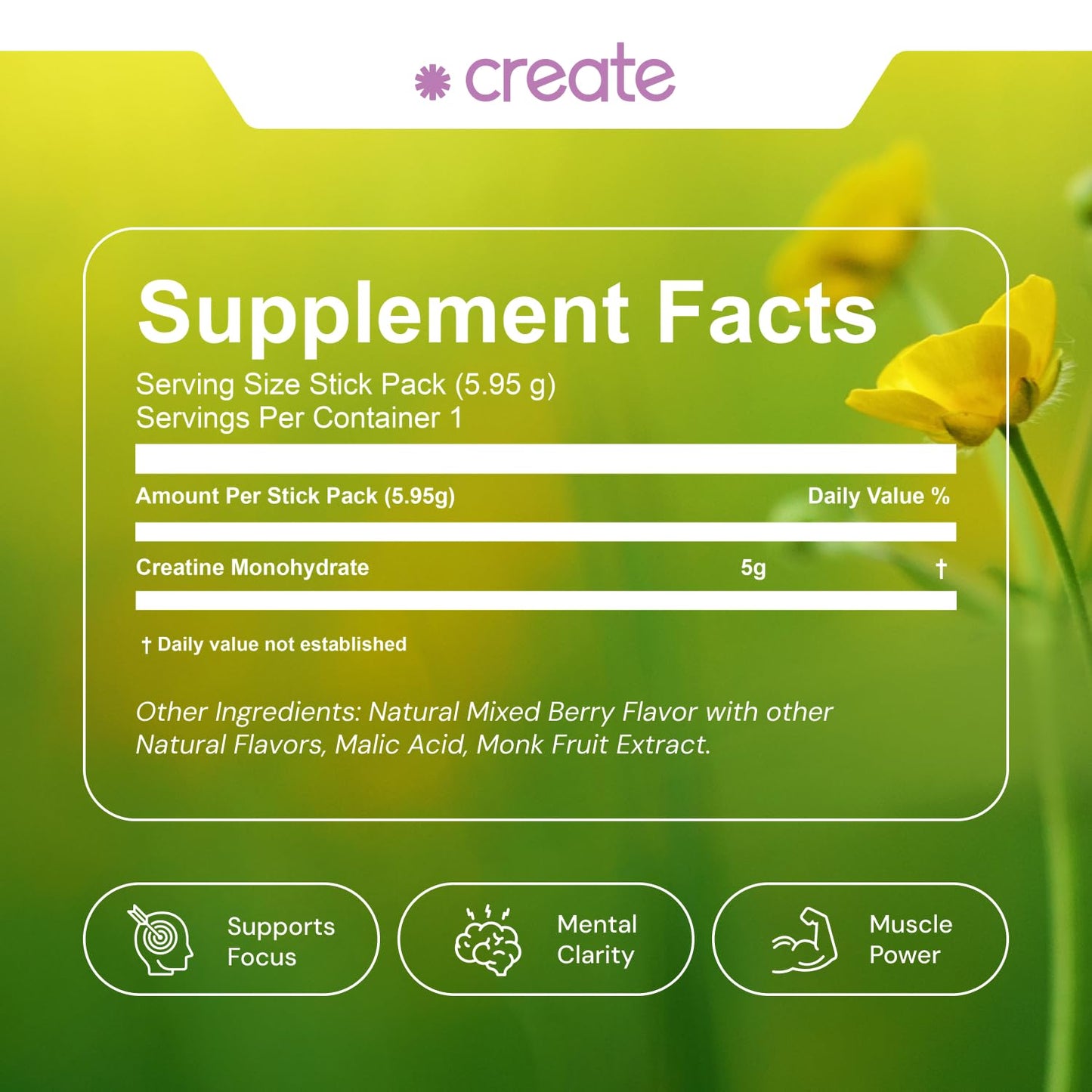 Create Single-Serve Creatine Monohydrate Powder – 5g Creapure Creatine, Sugar-Free, Vegan | Mixed Berry | 30 Portable Packets