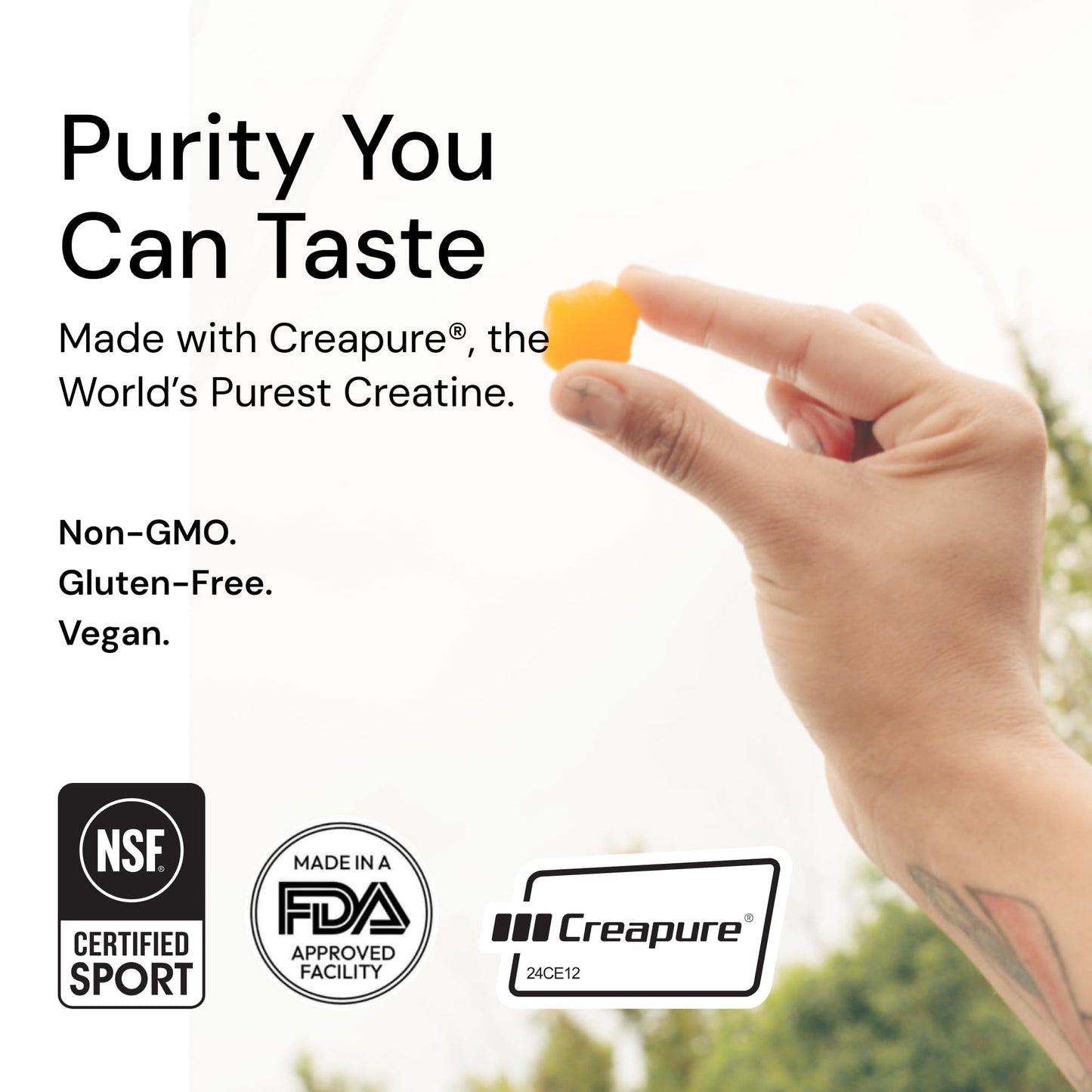 Create Creatine Monohydrate Gummies – 1.5g per Gummy, Vegan & Anti-Melting