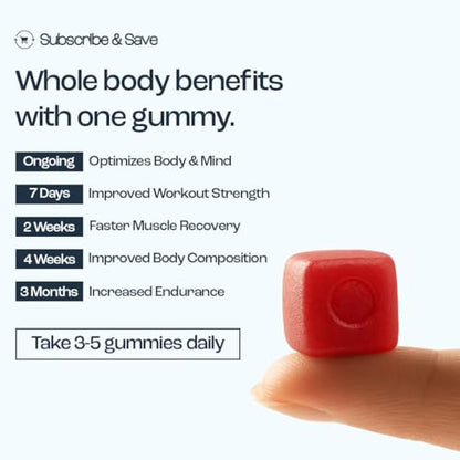 OMNI Creatine Monohydrate Gummies – 1g per Gummy | Watermelon & Peach Flavor | 90 Count