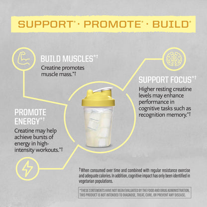 Creatine Monohydrate Powder – Lemonade, 50 Servings | Vegan & Keto Friendly