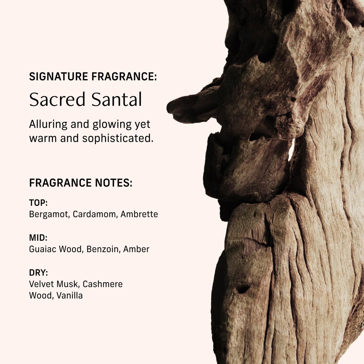 CYKLAR Perfume Oil Roll-On – Sacred Santal Fragrance, 0.5 fl oz