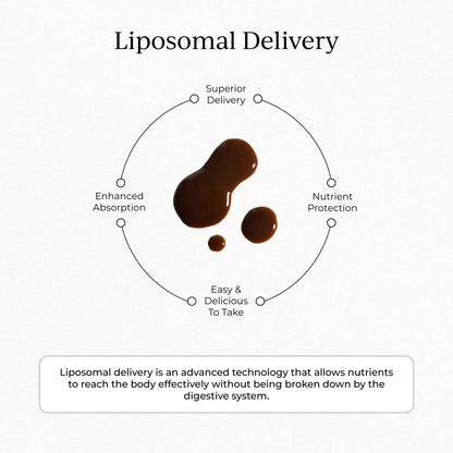 CYMBIOTIKA Liposomal Mushroom Supplement – Lion’s Mane, Turkey Tail, Cordyceps & Reishi, Chocolate Fudge, 30 Pack