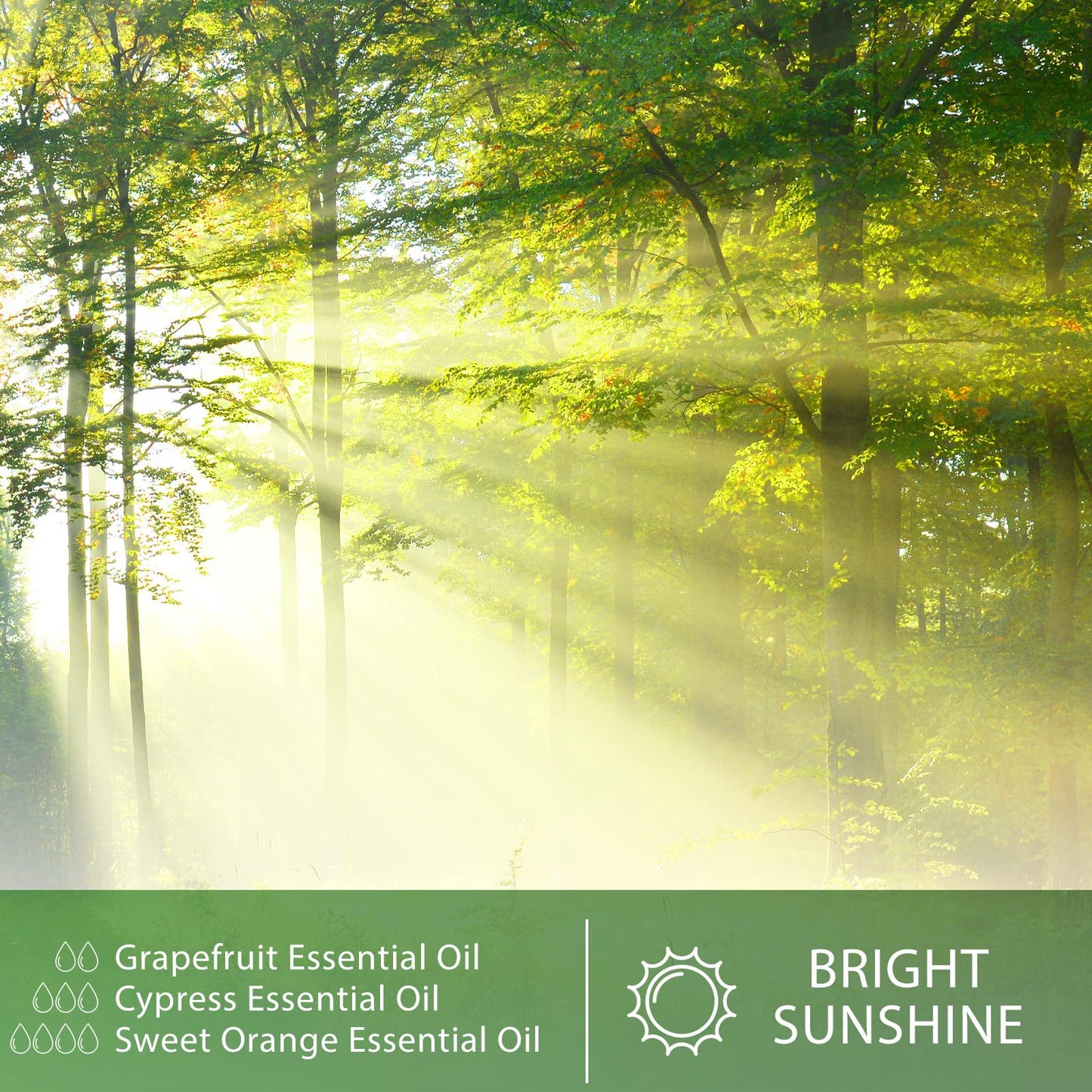 Cypress Essential Oil 100ml | PHATOIL Aromatherapy for Diffuser, Candle & DIY