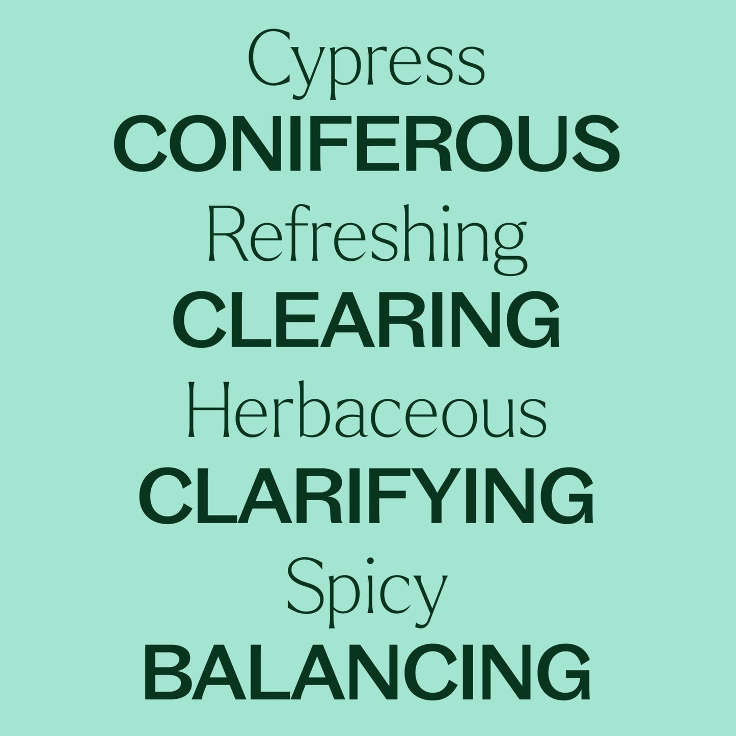 Plant Therapy Cypress Essential Oil – 100% Pure, Undiluted, 10 mL
