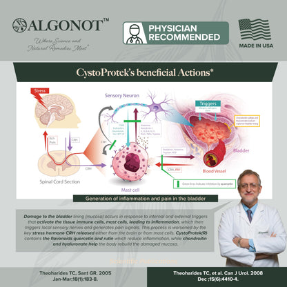 CystoProtek 1 Pack by Algonot – Patented Formula for Bladder Health
