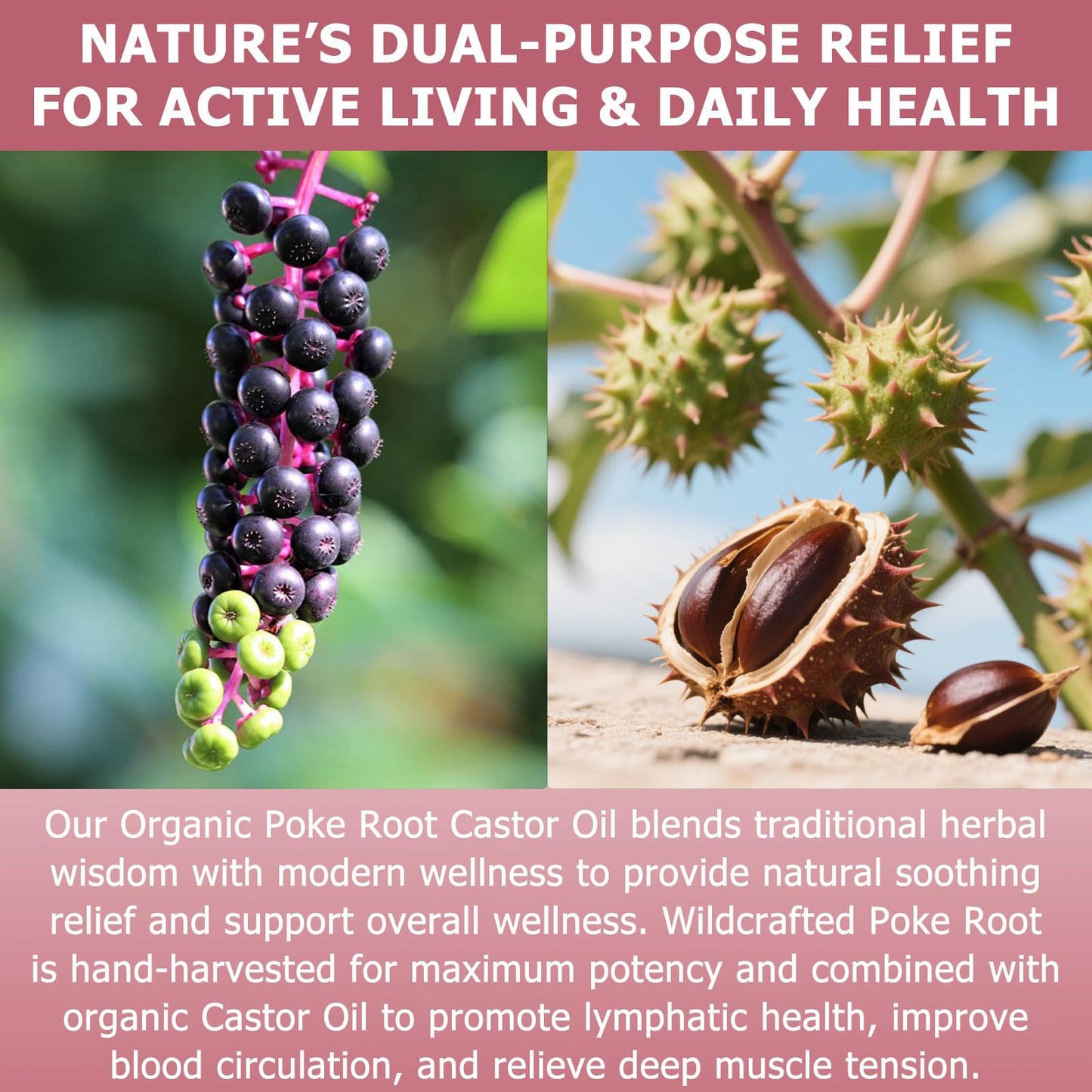Poke Root & Castor Oil – 1 fl oz | Natural Lymphatic Support Massage Oil for Cysts, Fibroids, Breast Swelling & Joints