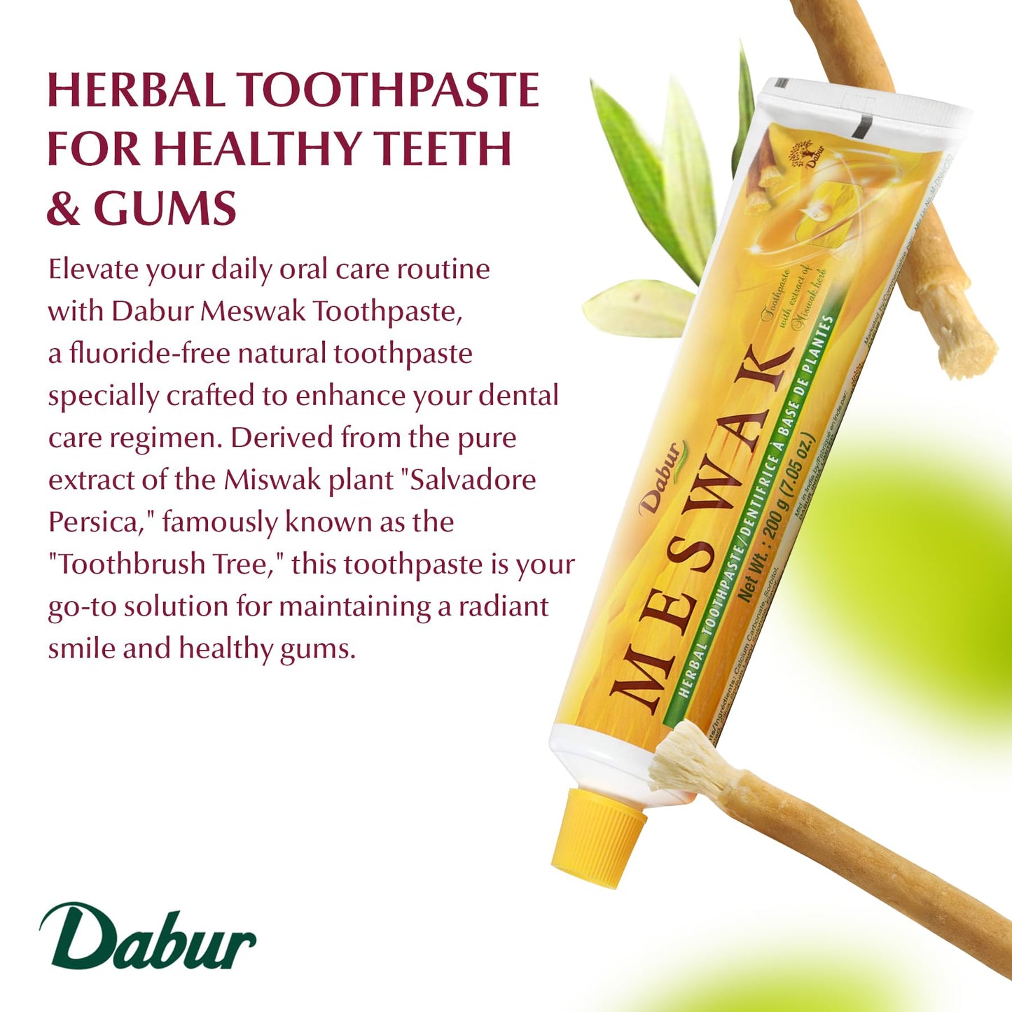 Dabur Meswak Toothpaste, 200g | Natural Miswak Toothpaste for Gums & Fresh Breath