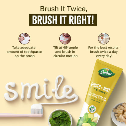 Dabur Organic Ginger & Mint Toothpaste 100 ml | Pack of 1