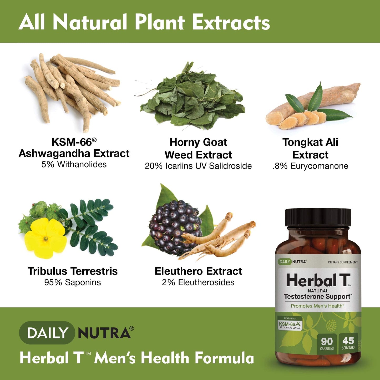 DailyNutra Herbal T Men's Health Formula - Endurance & Vitality (3-Pack)
