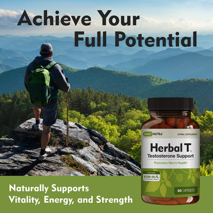 DailyNutra Herbal T Men's Health Formula - Endurance & Vitality (3-Pack)