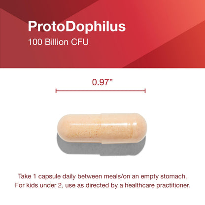 Proto Dophilus 100 Billion Probiotic – 10 Strains | Digestive Health & Detox (30 Veg Caps)
