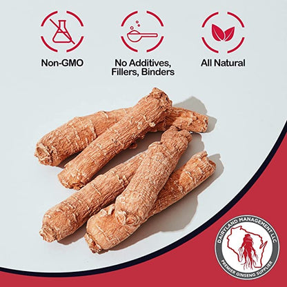 Red Panax Ginseng Powder (8 oz) – 10% Ginsenosides, Energy & Mood | Dairyland