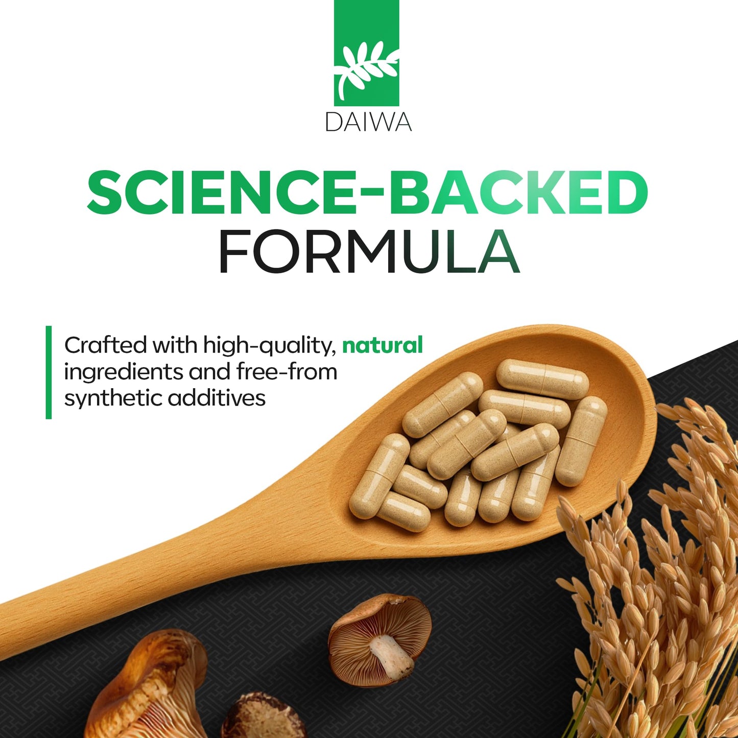 Daiwa PeakImmune4® – Immune Support Supplement for Adults with Rice Bran Arabinoxylan Compound (RBAC) and Shiitake Mushroom Enzyme – 50 Capsules