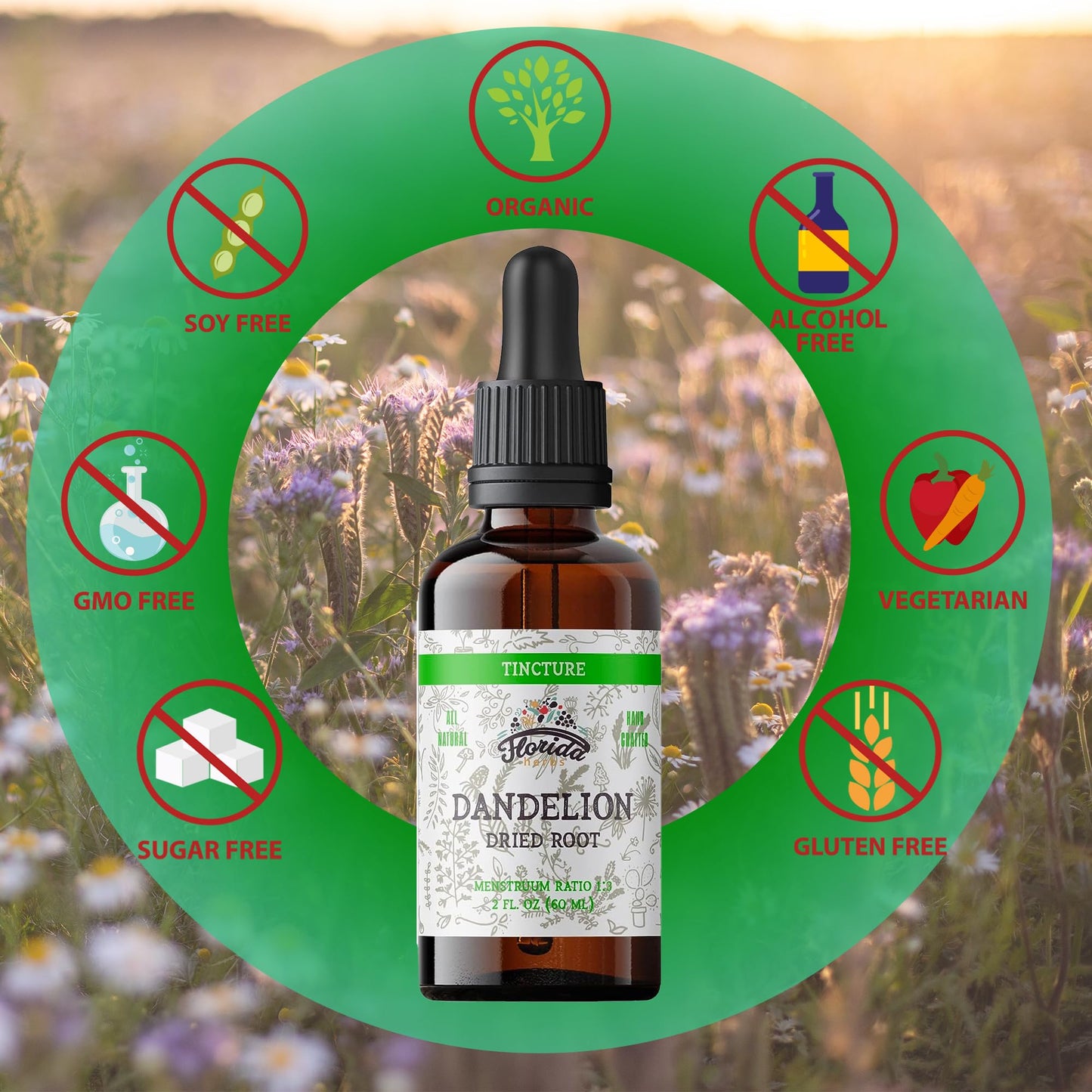 Florida Herbs Dandelion Root Tincture Organic - Non-GMO, Cold-Pressed Glycerin, 2 oz, 685 mg (Pack of 2)