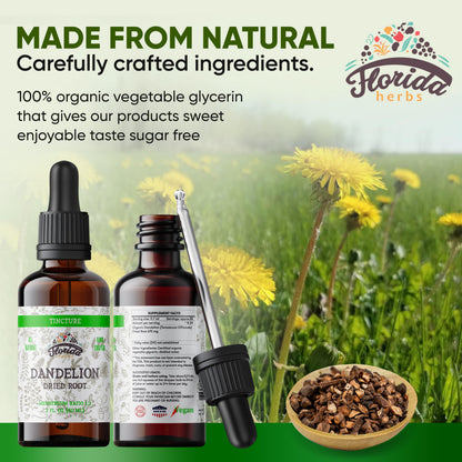 Florida Herbs Dandelion Root Tincture Organic - Non-GMO, Cold-Pressed Glycerin, 2 oz, 685 mg (Pack of 2)