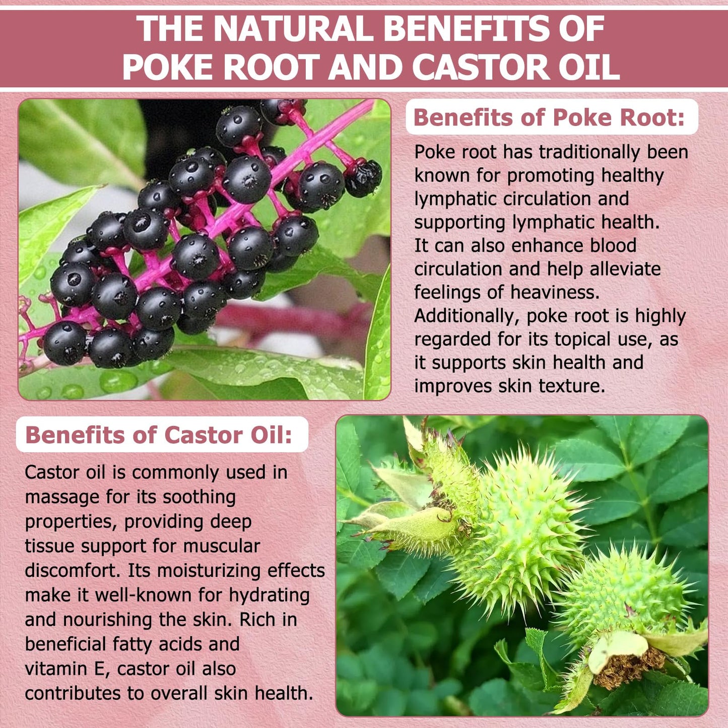 Poke Root & Castor Oil – 1 fl oz | Natural Lymphatic Support Massage Oil for Cysts, Fibroids, Breast Swelling & Joints