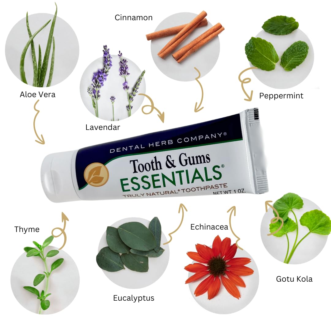 Dental Herb Company Travel Toothpaste 1oz (3 Pack) – Fluoride-Free & SLS-Free