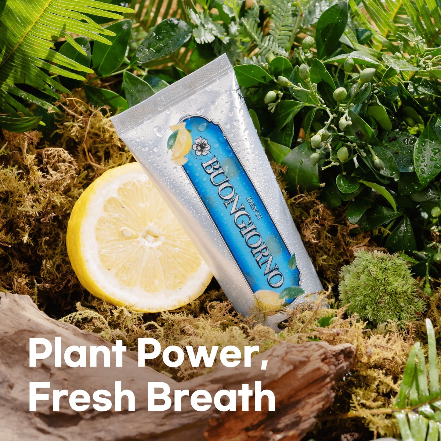 DENTI BUONGIORNO Plaque Care Toothpaste – Lemon Mint | Natural Fluoride