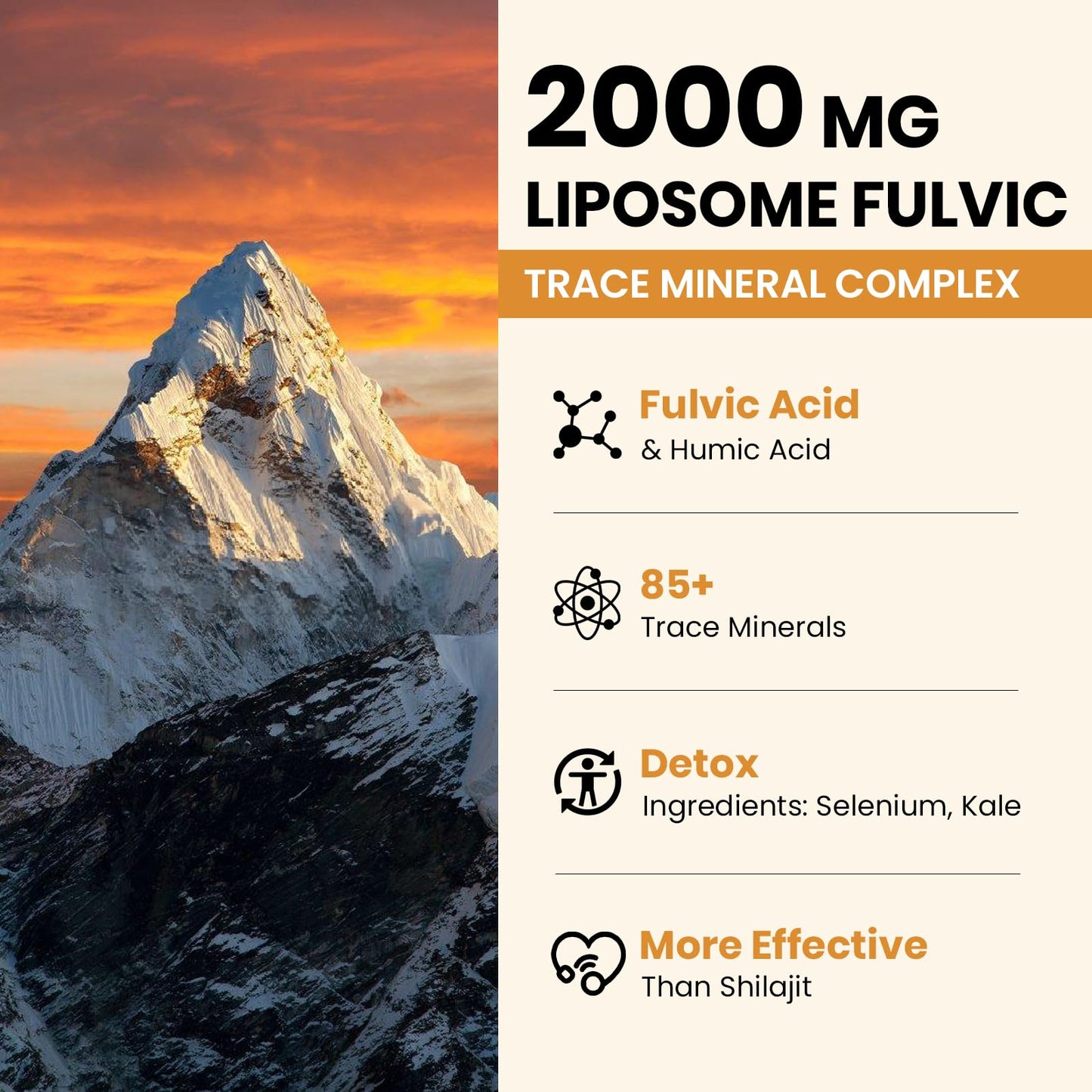 2000 mg Liposomal Fulvic + Humic Acid & Trace Minerals – More Potent Than Shilajit | Energy, Digestion, Immunity | 6 oz