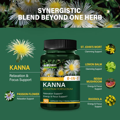 DetoxenNATURE Kanna Extract Power Capsules – Relaxation & Focus Support (90 Count)