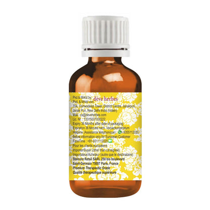 dève herbes Dalmatian Sage Essential Oil 5ml – Pure, Steam Distilled
