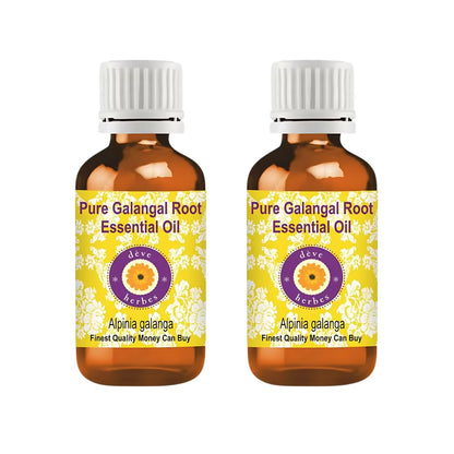 dève herbes Galangal Root Essential Oil (Alpinia galanga) 5ml x 2 – Pure, Steam Distilled