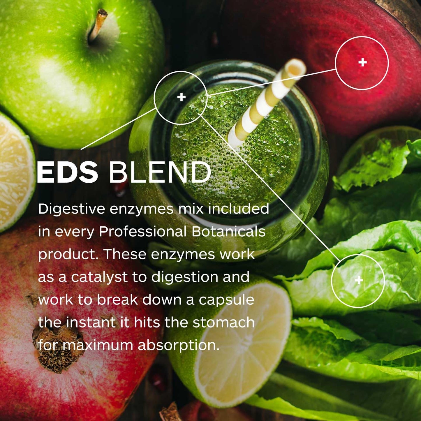 DI-AIDE Enzymes – Advanced Digestive Support (Vegan, Non-GMO) 120 Caps
